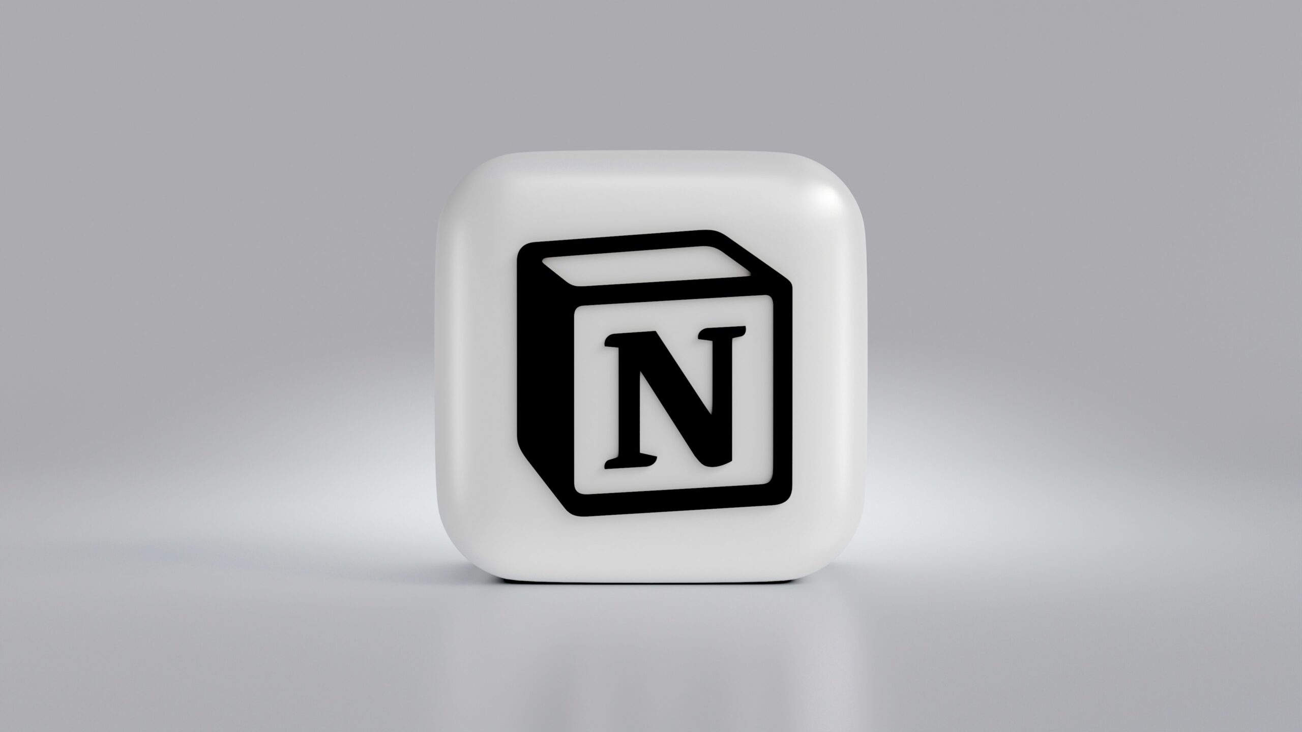 Notion pour gérer son business solo
